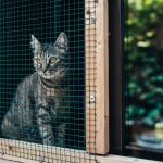 Zanzariere Anti Gatto: La Soluzione Ideale per Proteggere la Tua Casa dagli Insetti e dai Tuoi Amici Felini